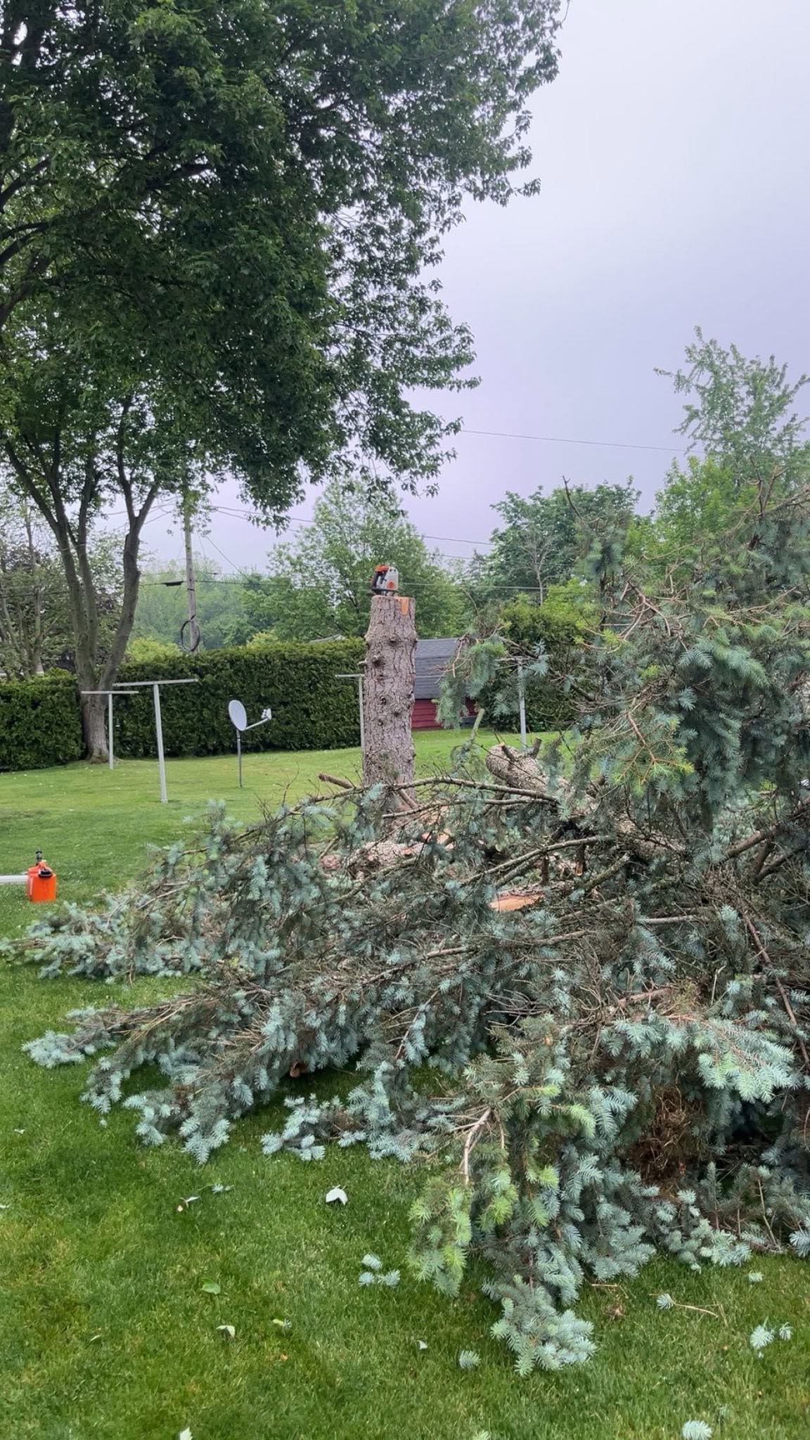 WoodHounds land and lot clearing