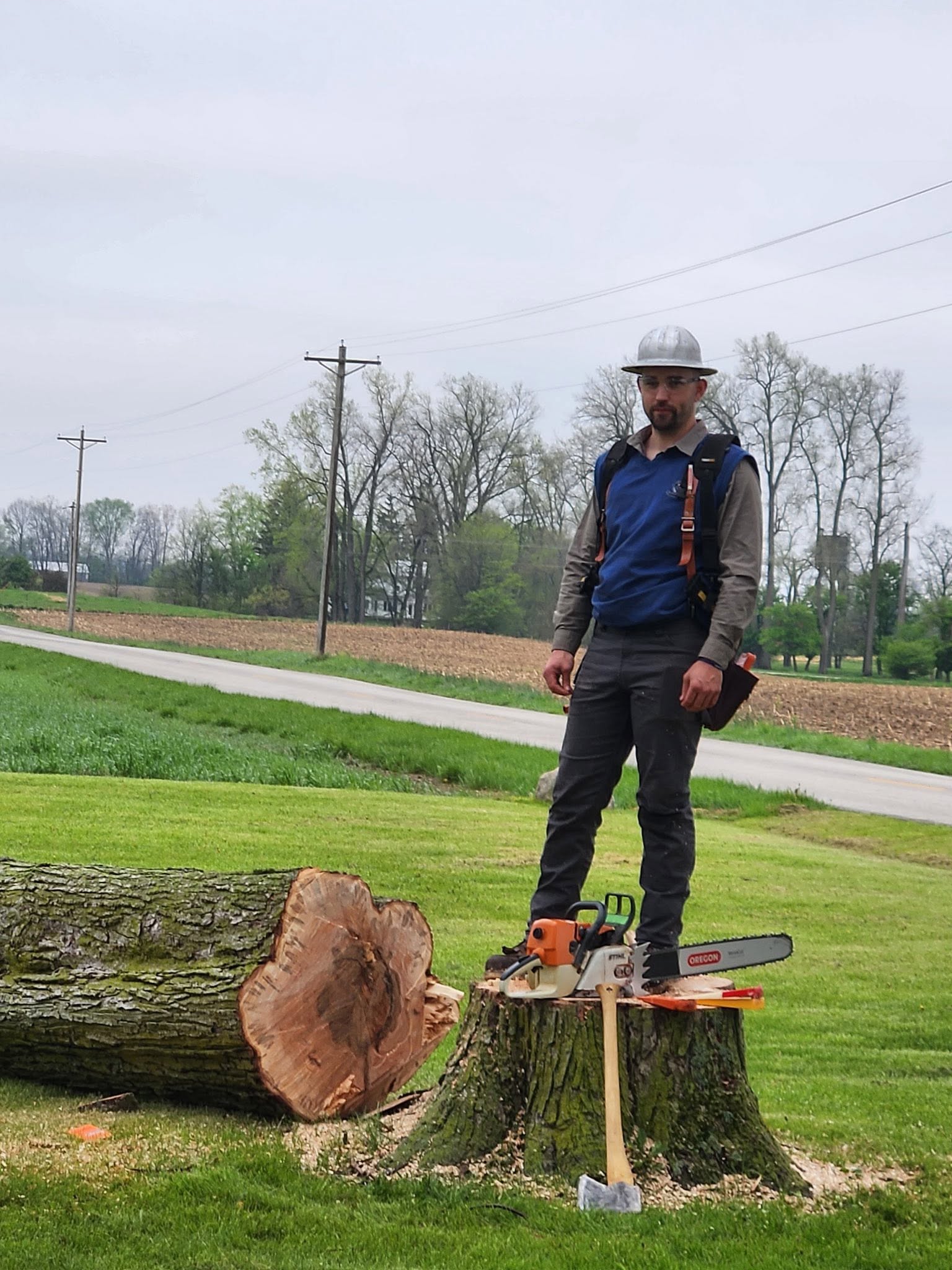 WoodHounds contract tree faller